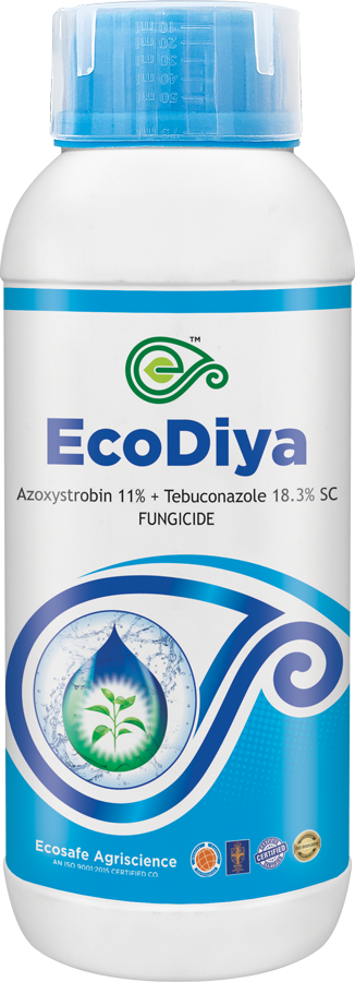 EcoDiya