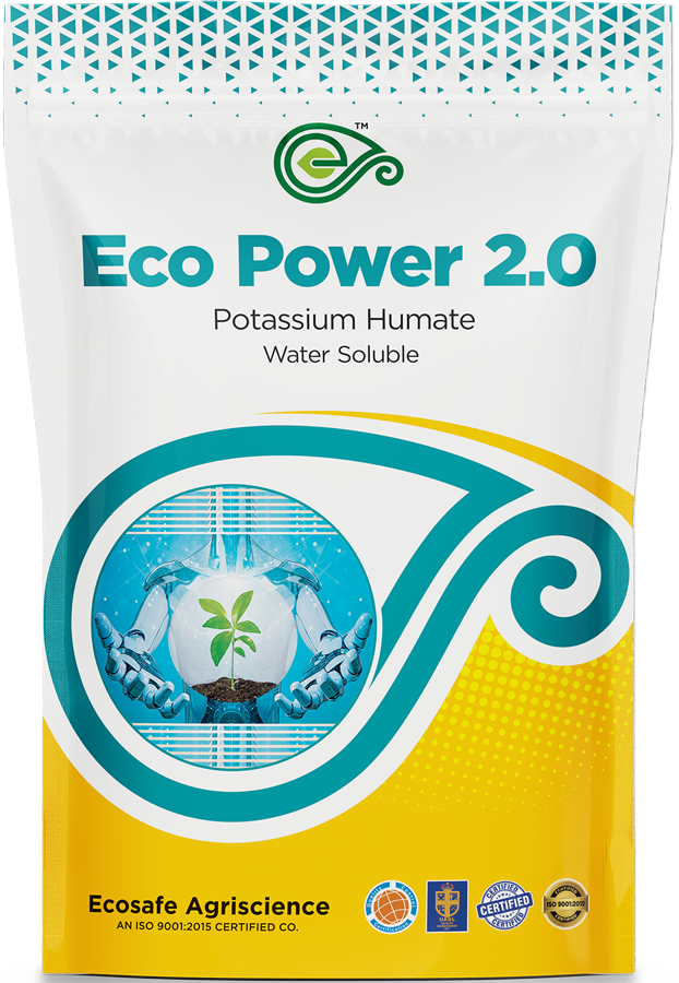 Eco Power 2.0
