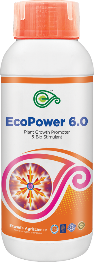Eco Power 6.0